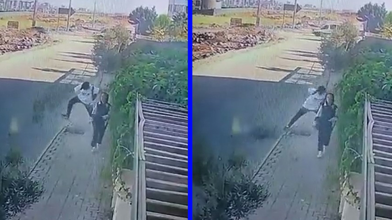 Kaldırımdaki ağacı sebepsiz yere kırdı;
