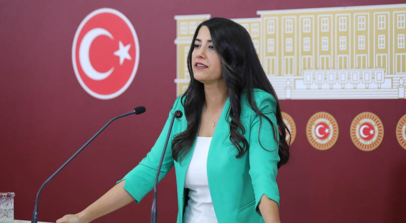Vekil Ayan pamuk fiyatlarını meclise taşıdı;