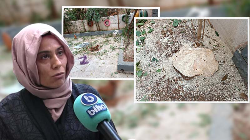 Şanlıurfa'da ilginç olay: Yanlışlıkla yaş ağacı kestiler;