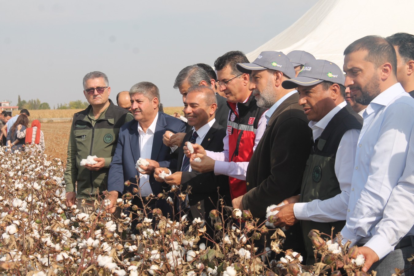 Şanlıurfa’da pamuk festivali düzenlendi;