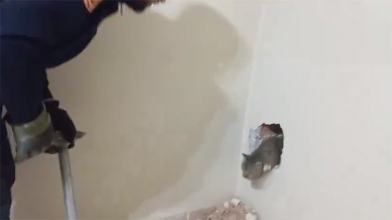 Şanlıurfa’da yavru kediyi itfaiye kurtardı;