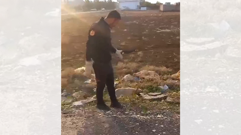 Viranşehir'de yavru köpek kurtarıldı;