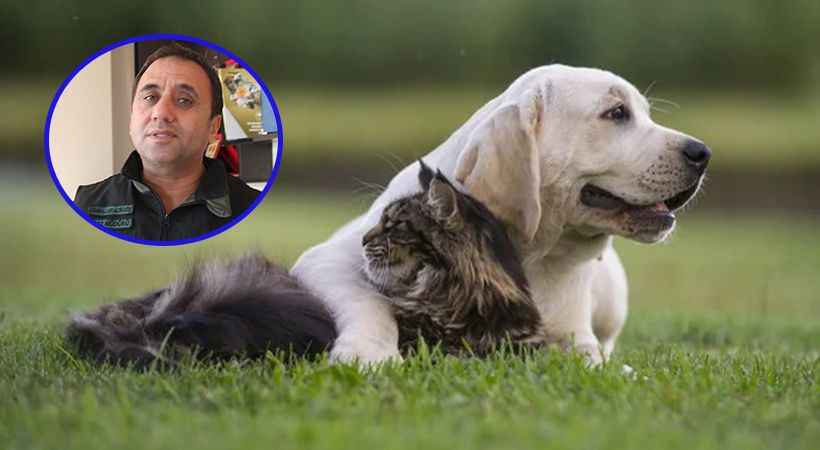 Şanlıurfa’da kaç kedi köpeğe çip takıldı?;