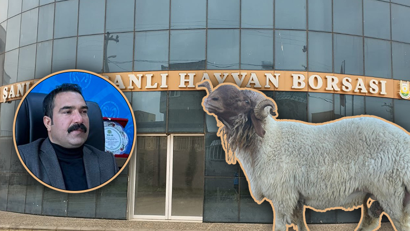 Şanlıurfa Canlı Hayvan Borsası kentte ilk üçte;