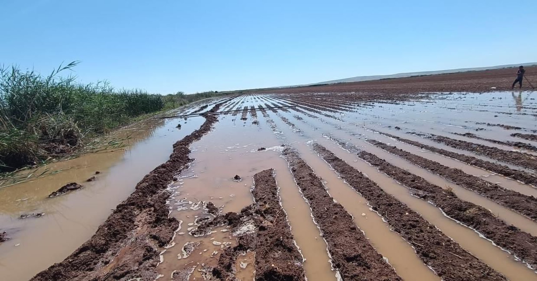 Suruç’ta DSİ kanalı patlayınca tarlalar sular altında kaldı;