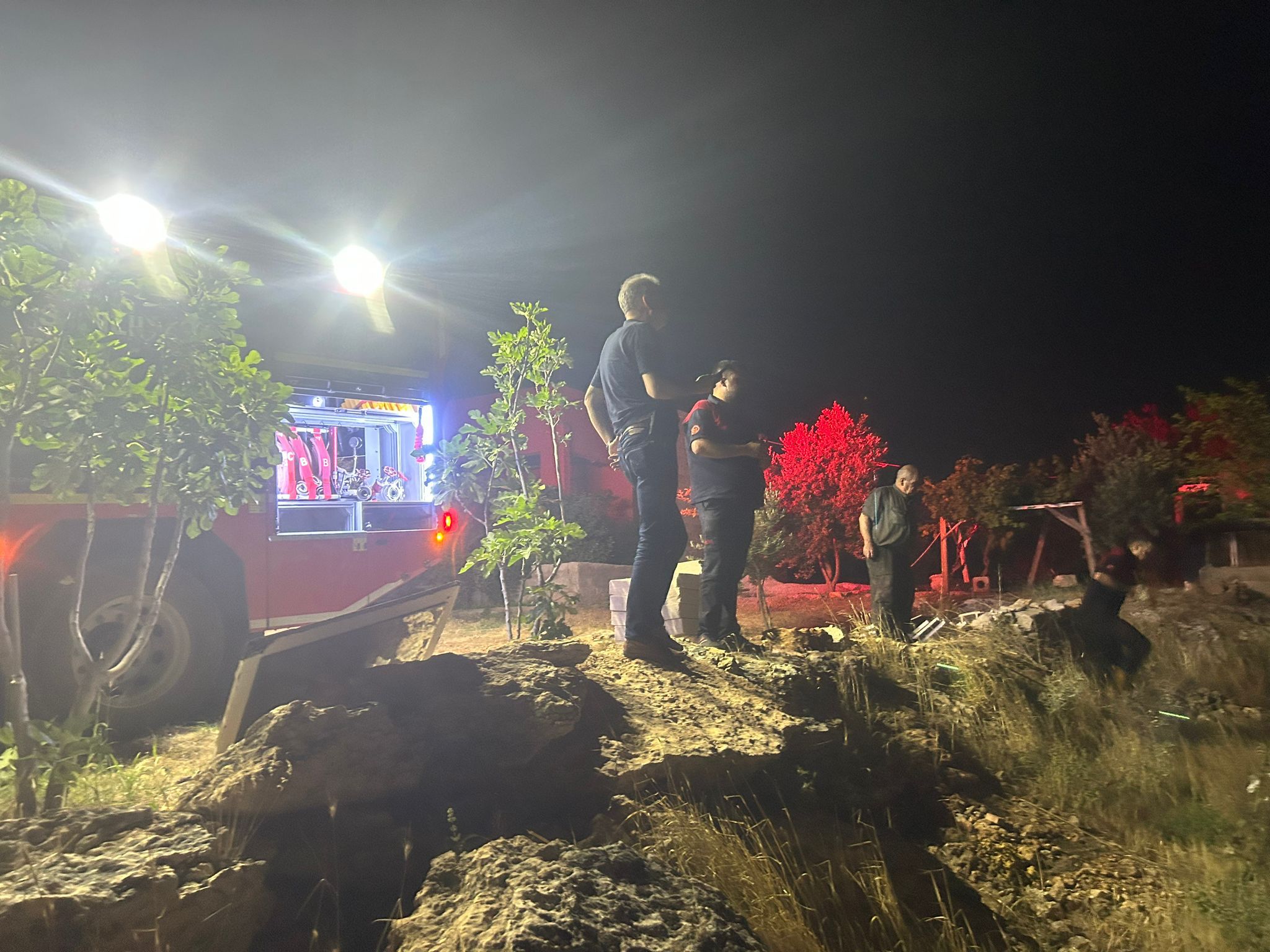 Eyyübiye’de çıkan orman yangını itfaiye ekipleri tarafından söndürüldü;