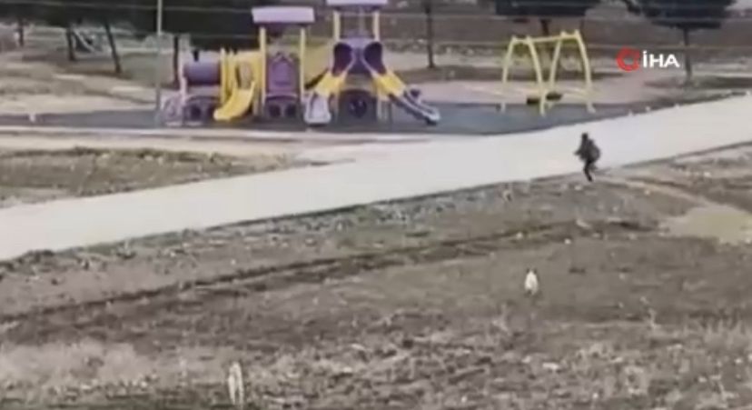 Sokak köpekleri yaşı küçük çocuğa böyle saldırdı...