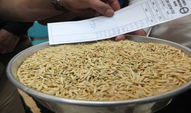 TMO, buğday ve arpaya destek primi ödeyecek;