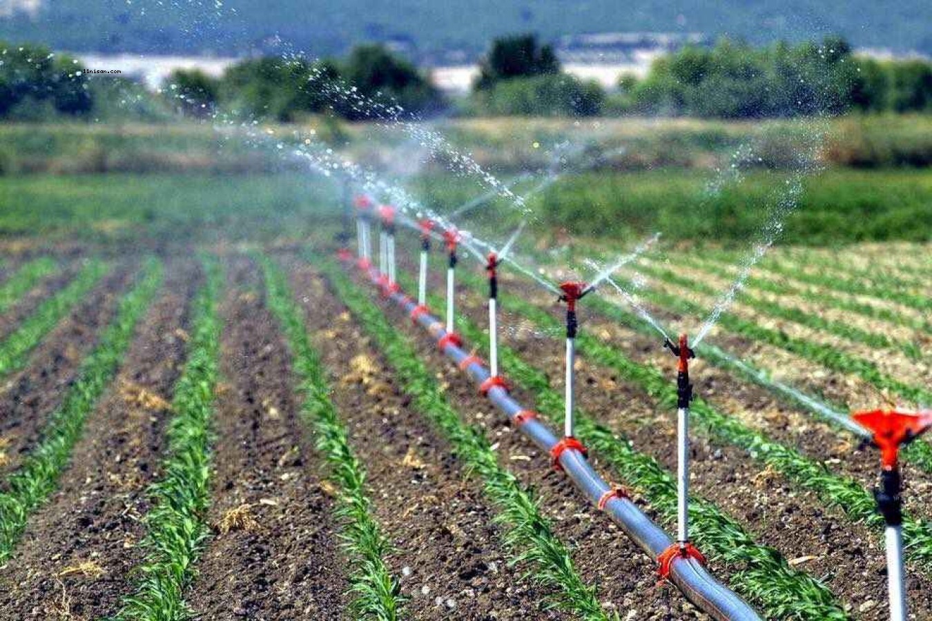 Tarımsal girdi fiyatlarında rekor artış gözlendi