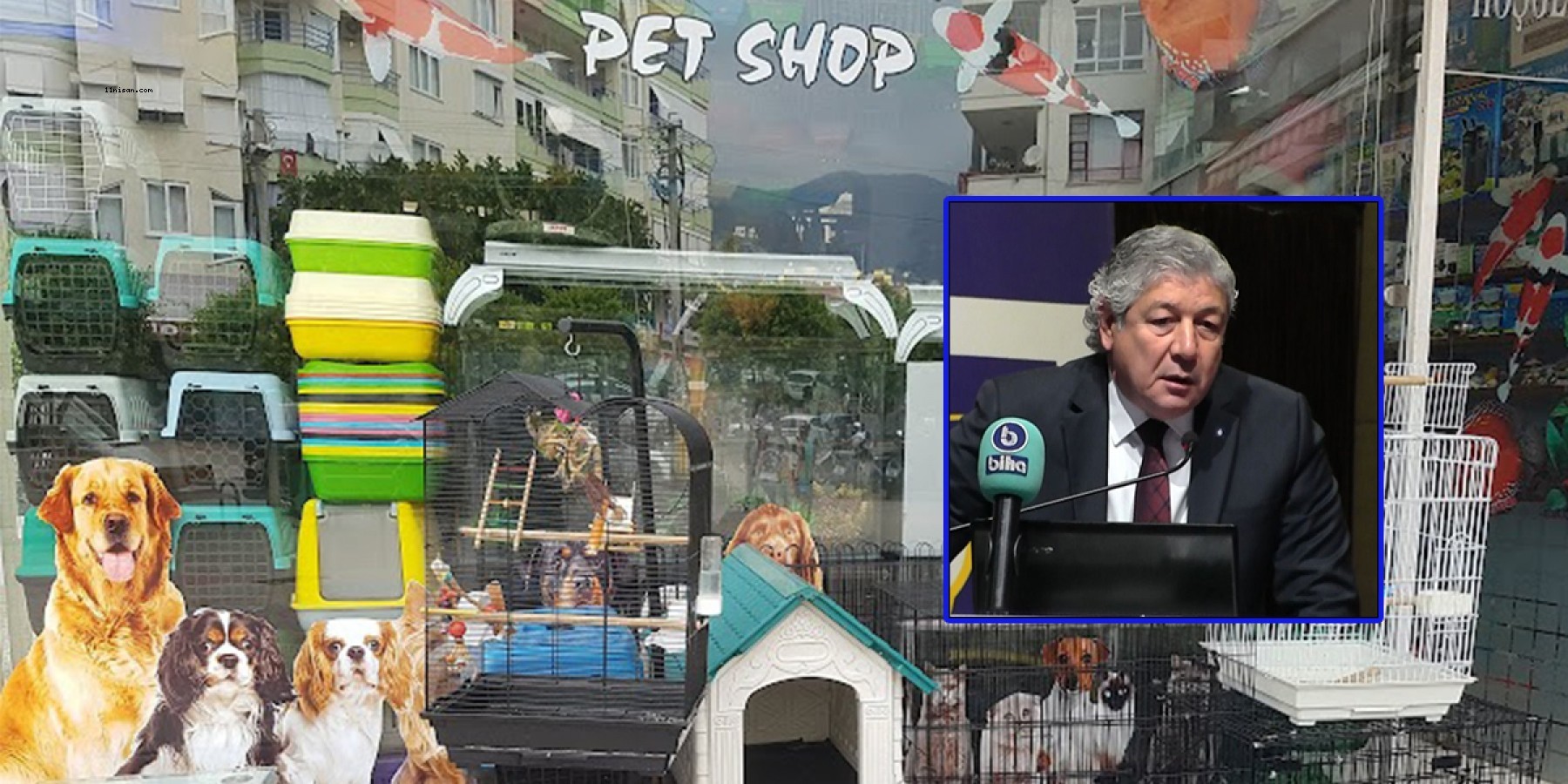 Melik’ten petshopların Kasaplar Odası’na bağlanmasına tepki!;