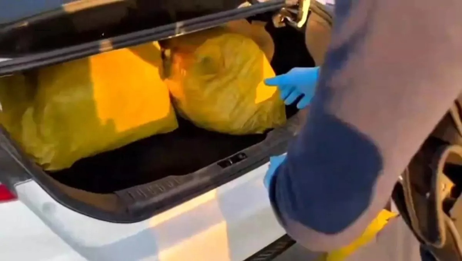 ŞANLIURFA'DA 35 KİLOGRAM SKUNK ELE GEÇİRİLDİ;