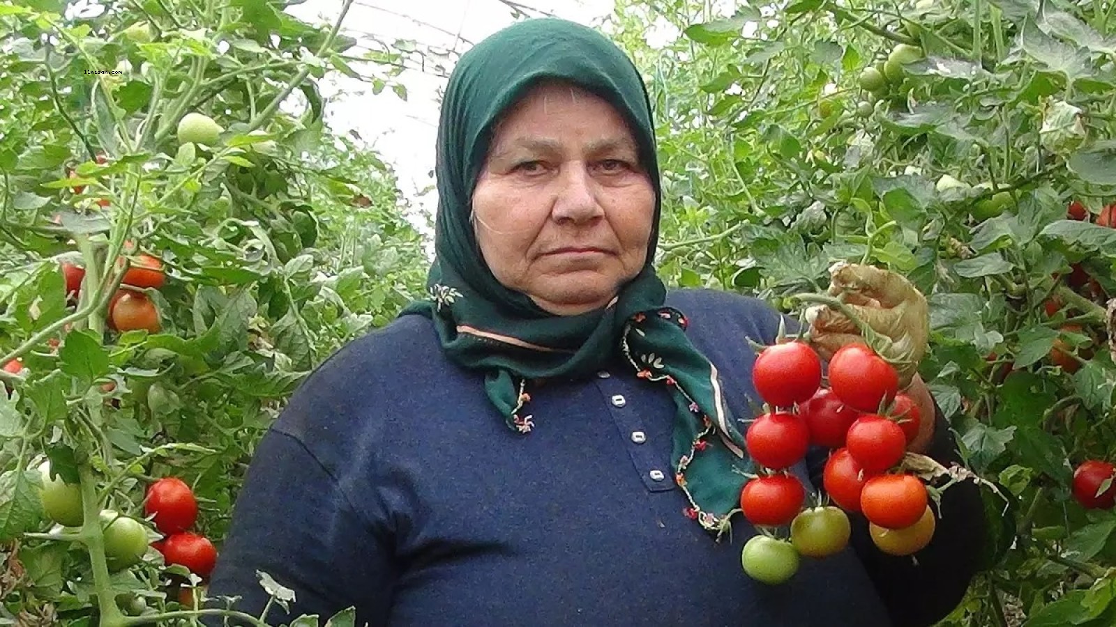 5 BİN AİLE GEÇİMİNİ BUNUNLA SAĞLIYOR! ÇAREYİ BÖYLE BULDULAR;