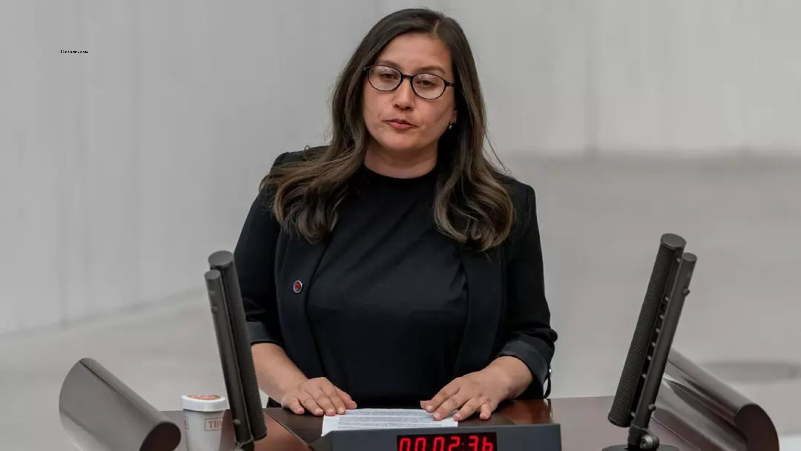 DEM PARTİLİ VEKİL SÖZLERİNİ KÜRTÇE BİTİRDİ PERVİN BULDAN TERCÜMESİNİ YAPINCA MECLİS KARIŞTI;