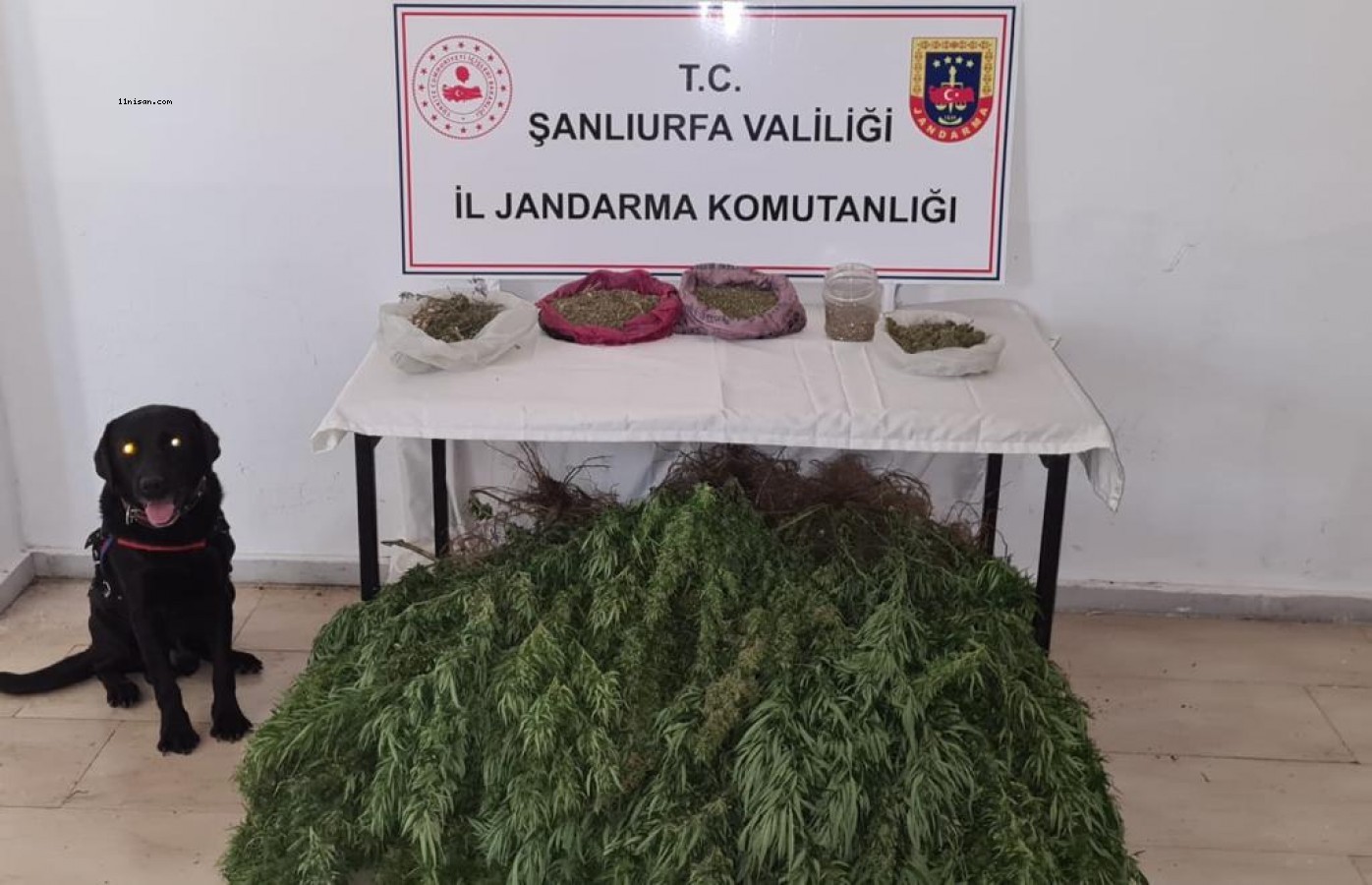 Viranşehir’de uyuşturucu operasyonu;