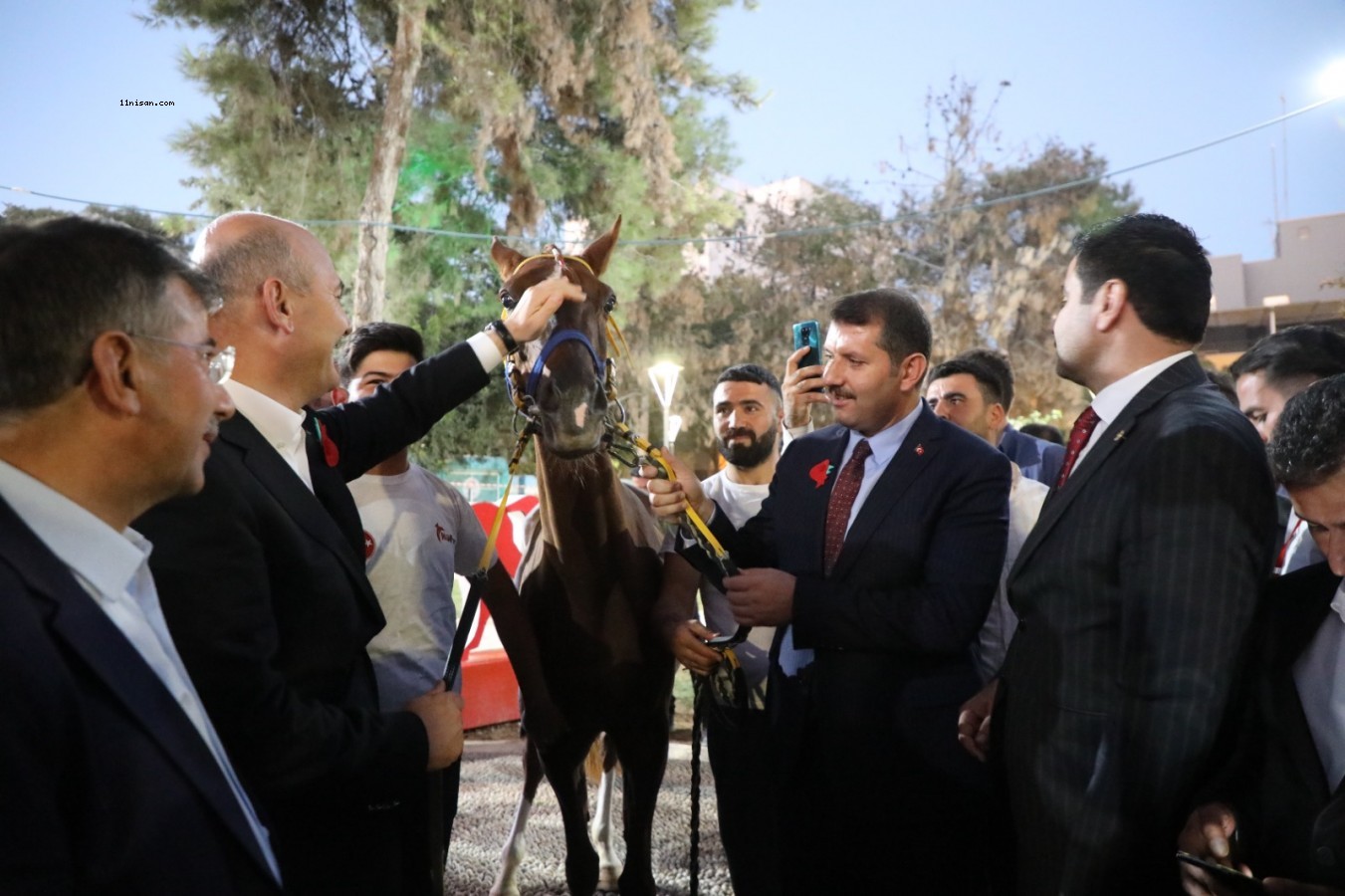 Bakan Soylu’ya Suruç'ta yarış atı hediye edildi!;