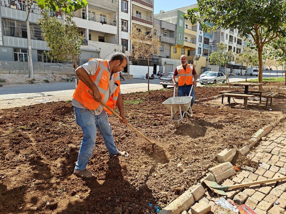 Eyyübiye parklarında sonbahar çalışması;