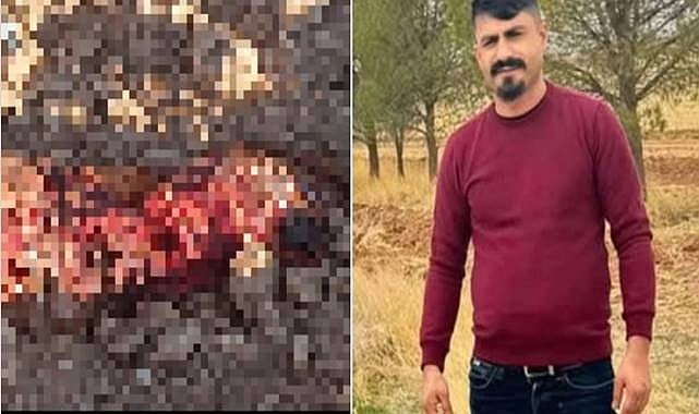 Urfa'da Kan Donduran Olay! Toprağa Gömülü Cesedi Köpekler Yedi;