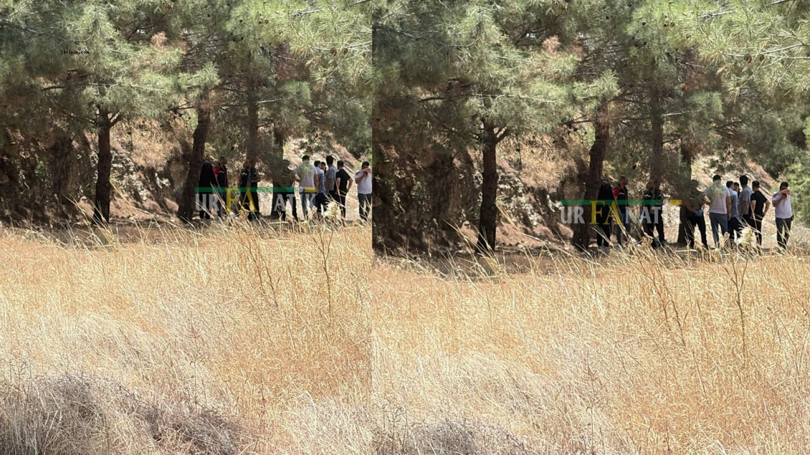 ŞANLIURFA'DAKİ ORMANDA BİR KİŞİ AĞACA ASILI HALDE BULUNDU;