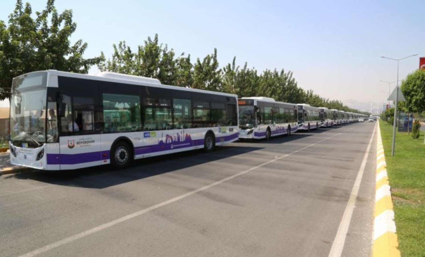 Urfa’da 29 Ekim'de toplu taşıma ücretsiz;
