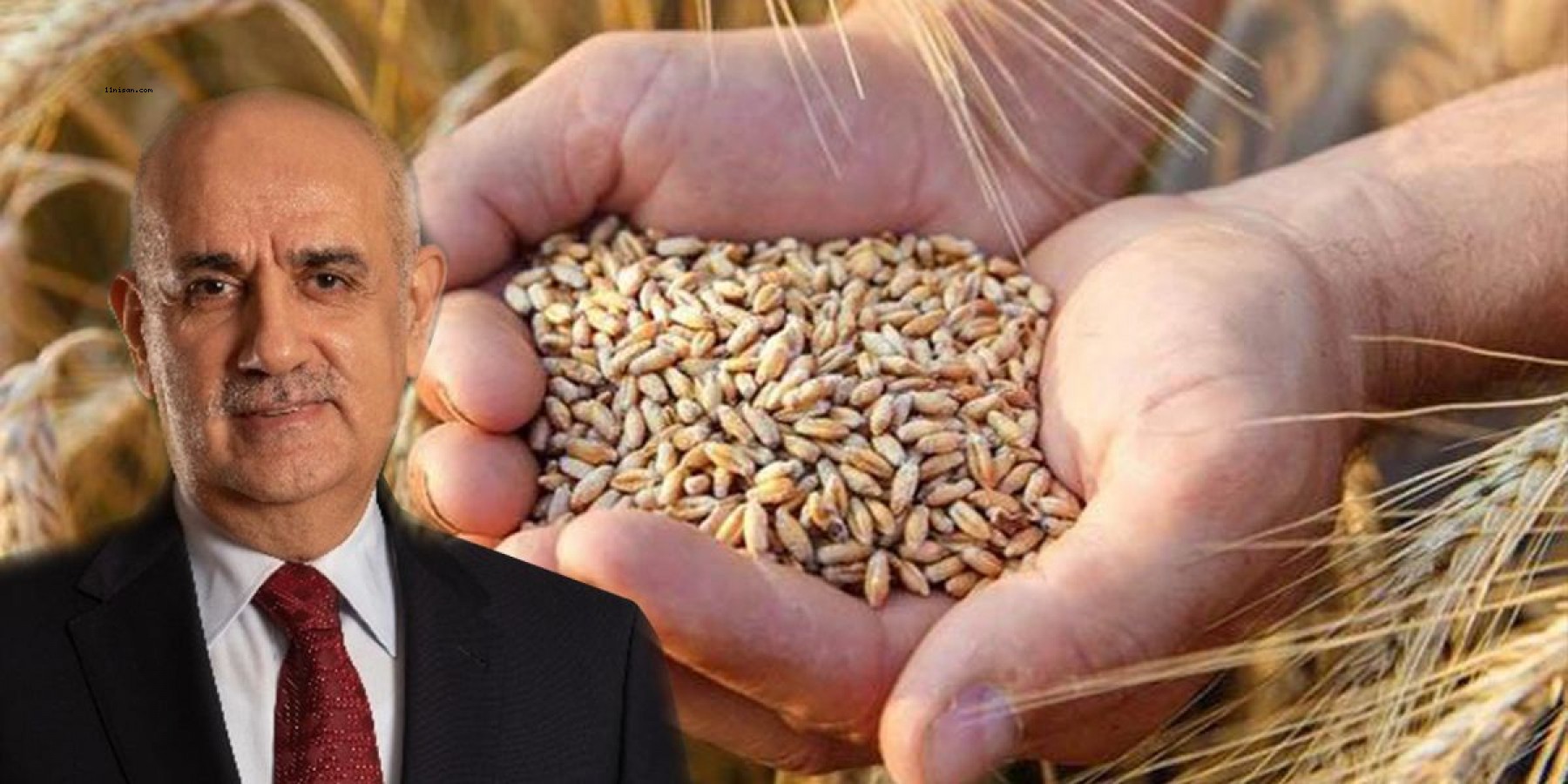 Buğday ve arpanın alım fiyatında artış;