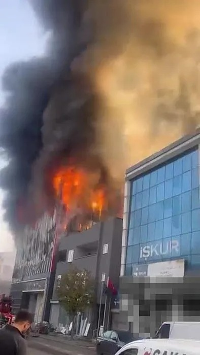 WhatsApp Image 2025-11-08 at 11.09.20.jpeg